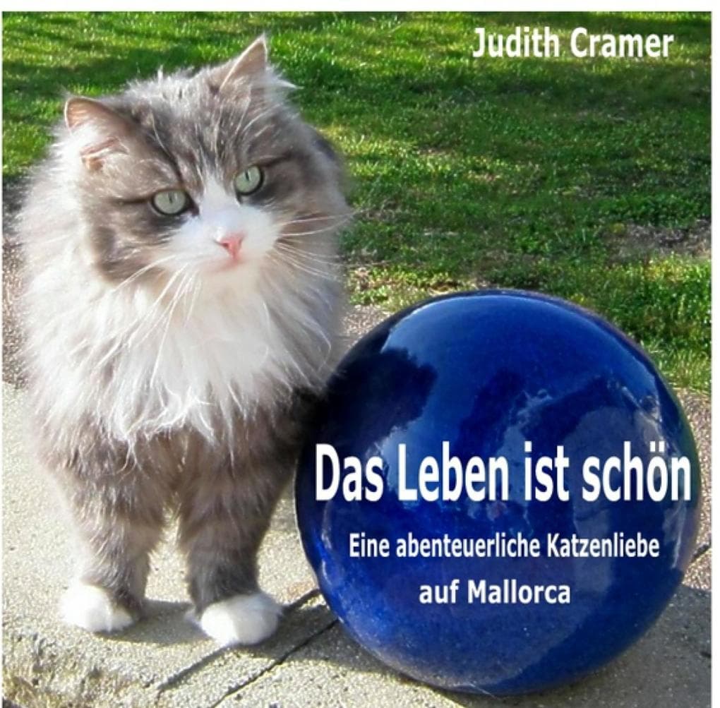 Das Leben ist schön: Eine abenteuerliche Katzenliebe auf Mallorca