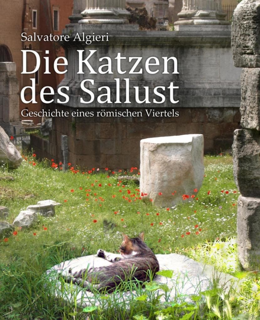 Die Katzen des Sallust: Geschichte eines römischen Viertels