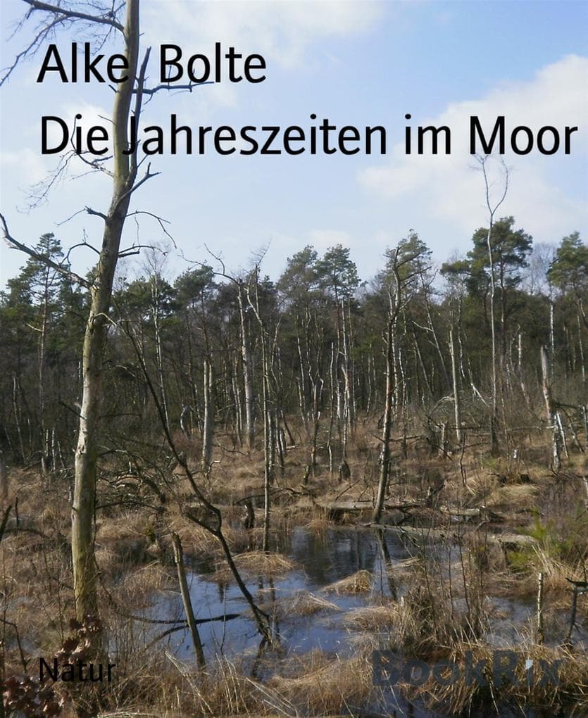 Die Jahreszeiten im Moor