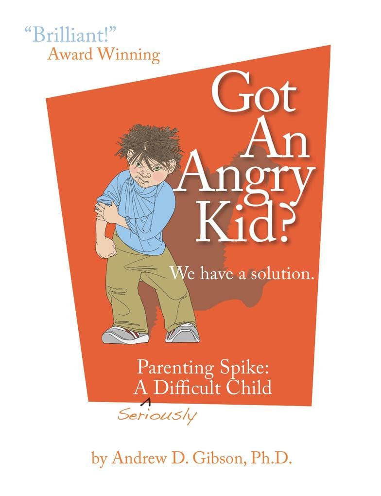 Got An Angry kid?