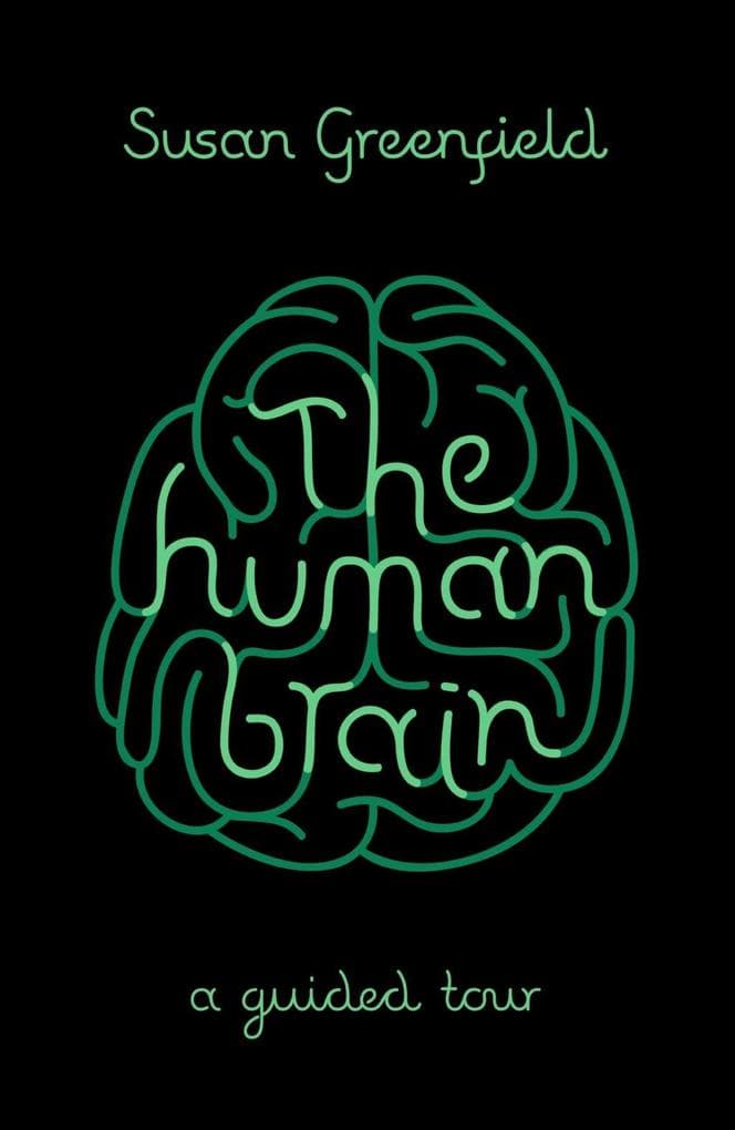 The Human Brain