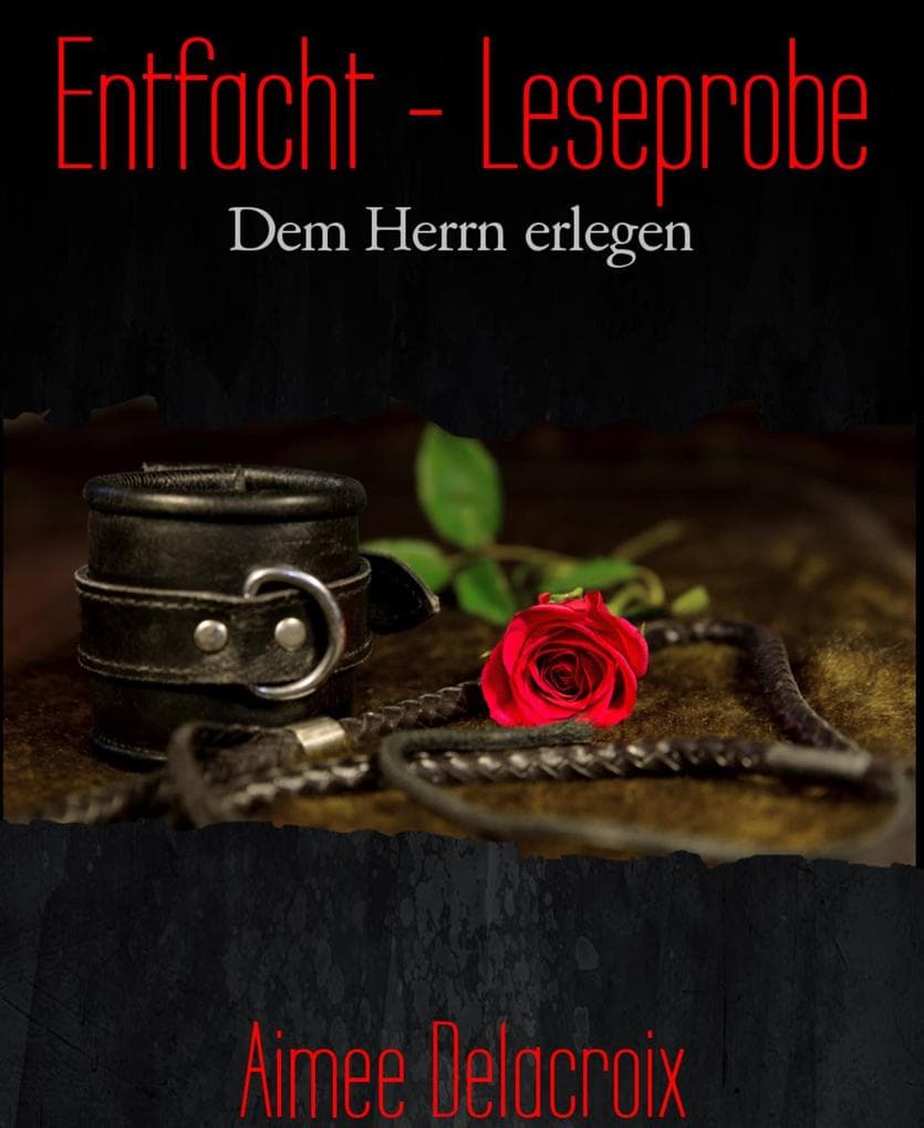 Entfacht - Leseprobe