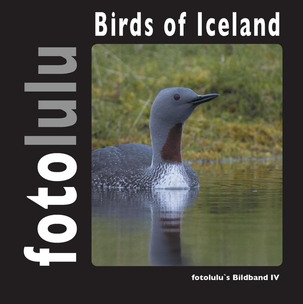 Birds of Iceland: fotolulu's Bildband 4