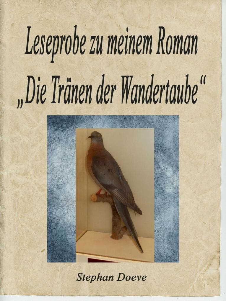 Leseprobe zu meinem Roman "Die Tränen der Wandertaube"
