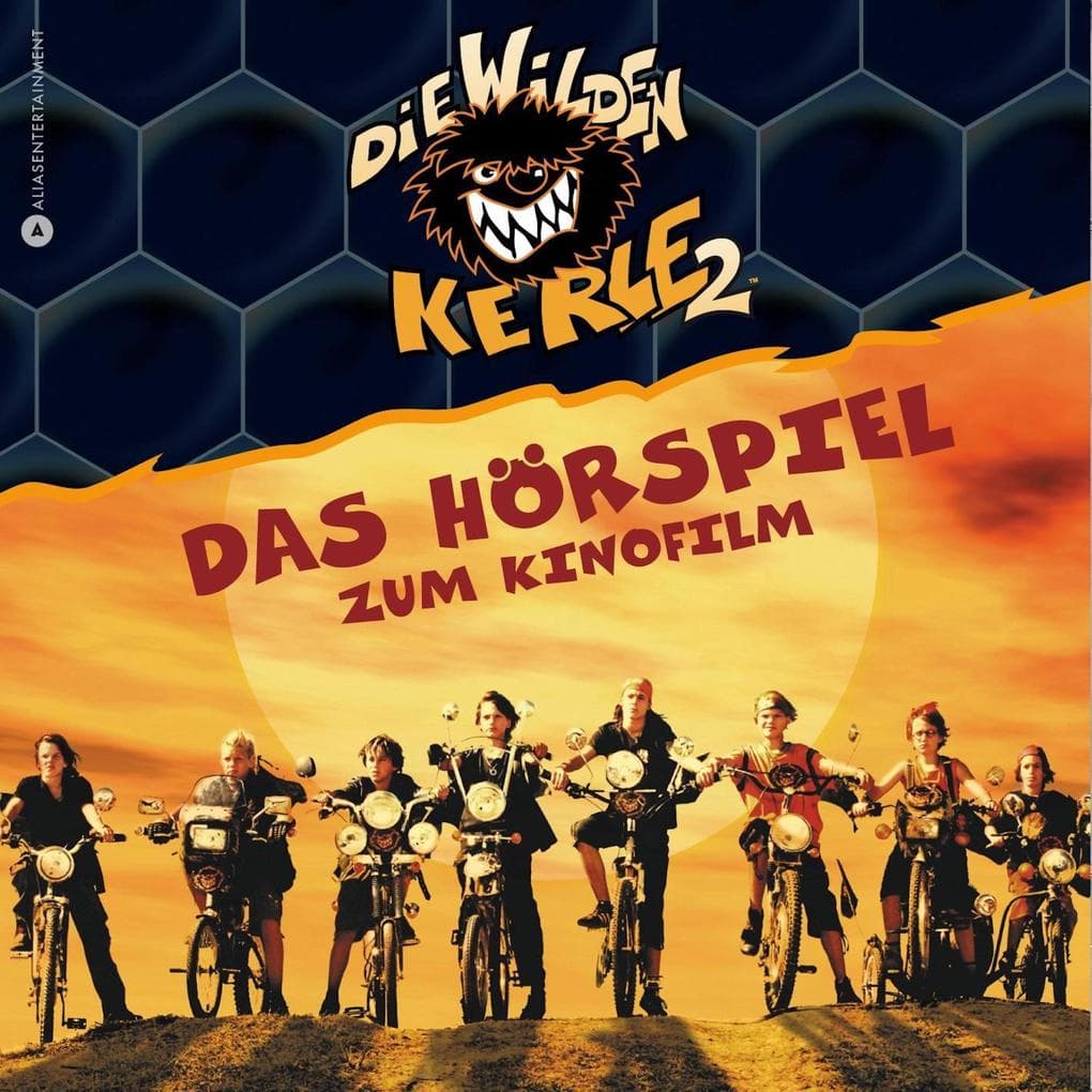 Die Wilden Kerle 2