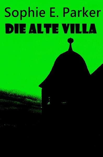Die alte Villa: Mystery-Liebesroman mit regionalem Bezug