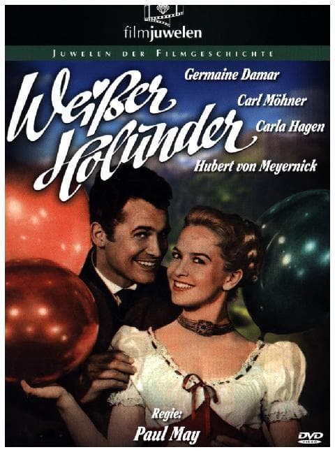 Weisser Holunder