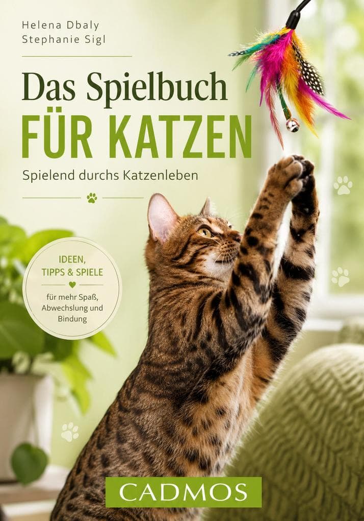 Das Spielebuch für Katzen