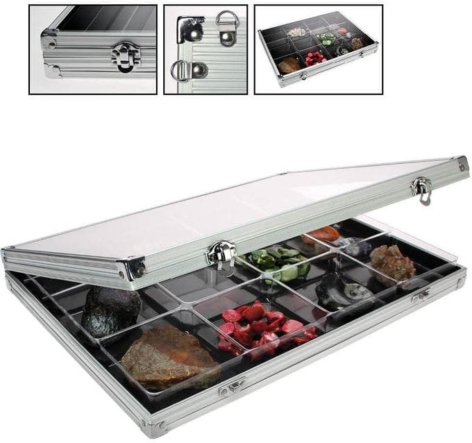 Sammelvitrine mit 12 Fächern