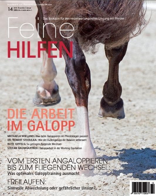 Die Arbeit im Galopp