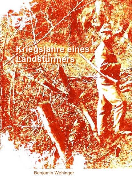 Kriegsjahre eines Landstürmers: Kriegschronik eines Soldaten im Landsturm-Bataillon in Galizien und Südtiroler Dolomiten im Ersten Weltkrieg.