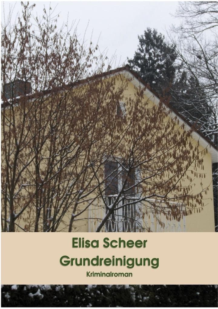 Grundreinigung: Kriminalroman