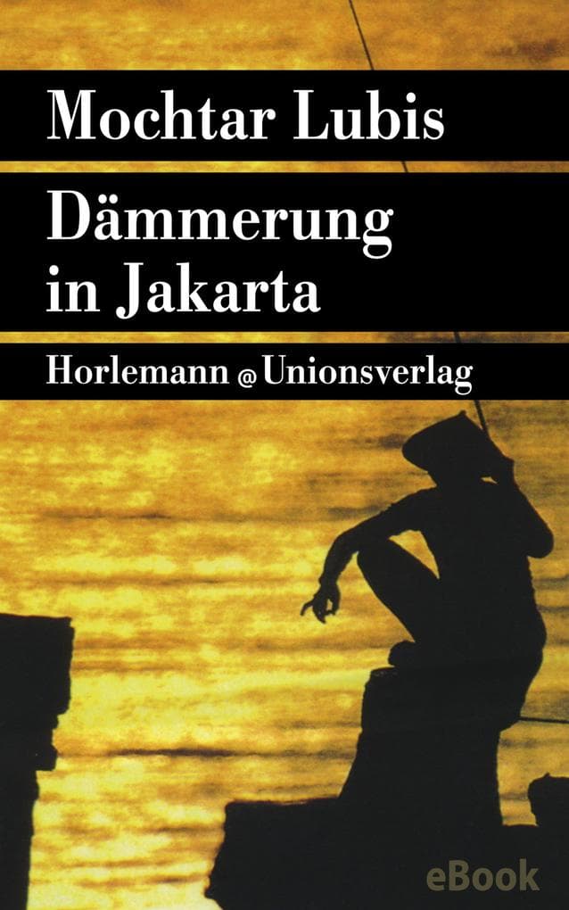 Dämmerung in Jakarta: Roman