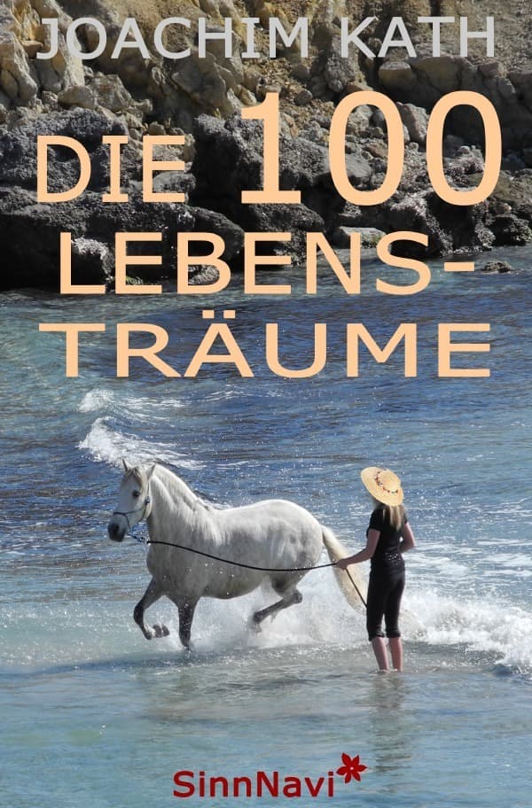 Die 100 Lebensträume: SinnNavi