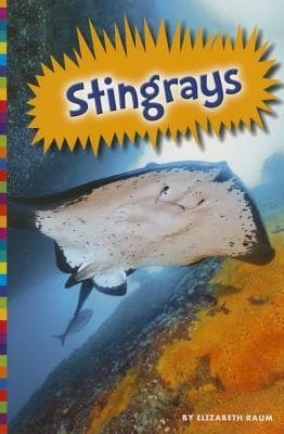 Stingrays