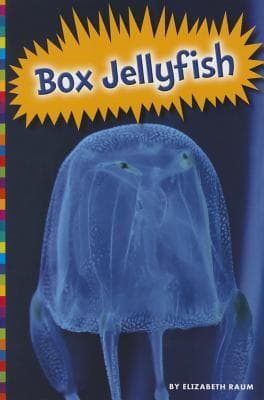 Box Jellyfish