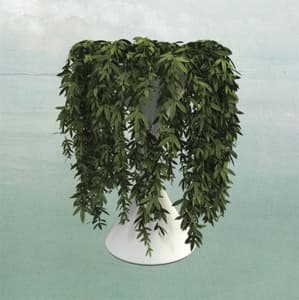 Lease Of Life (2LP White Vinyl)