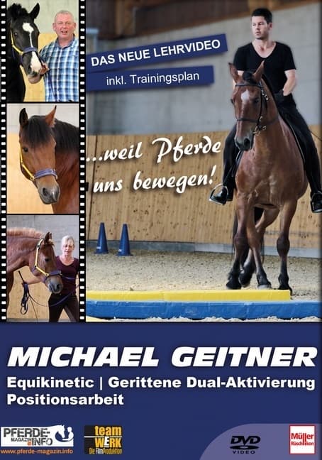 DVD - Michael Geitner, DVD-Video
