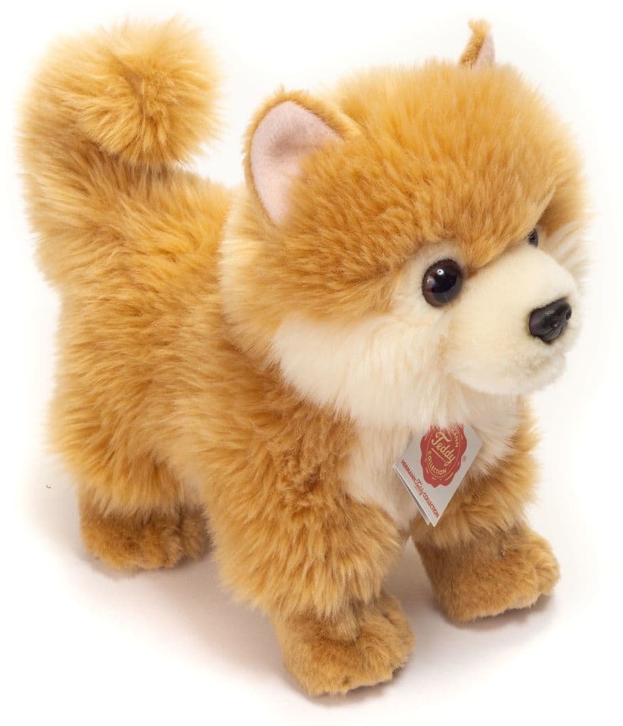Teddy-Hermann - Zwergspitz, 22 cm
