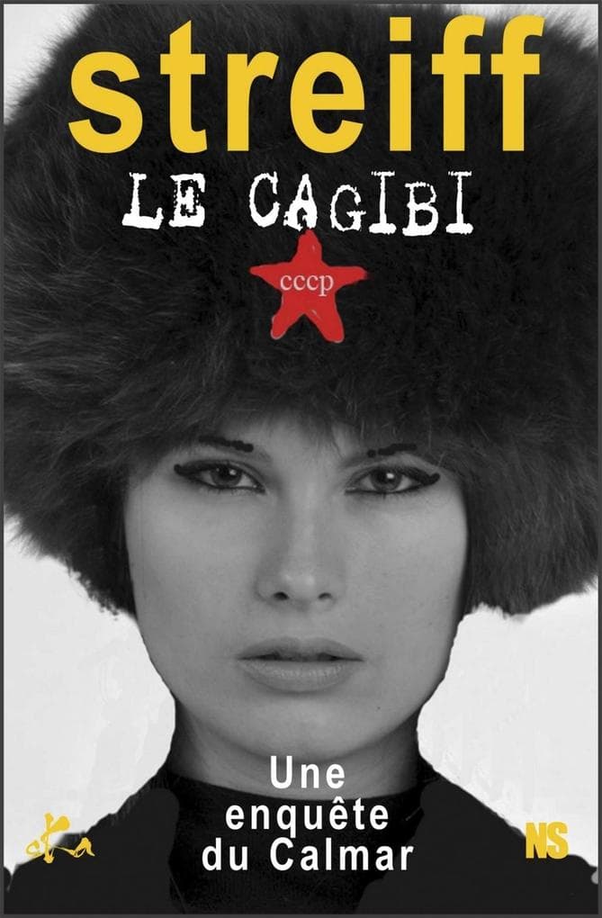 Le cagibi