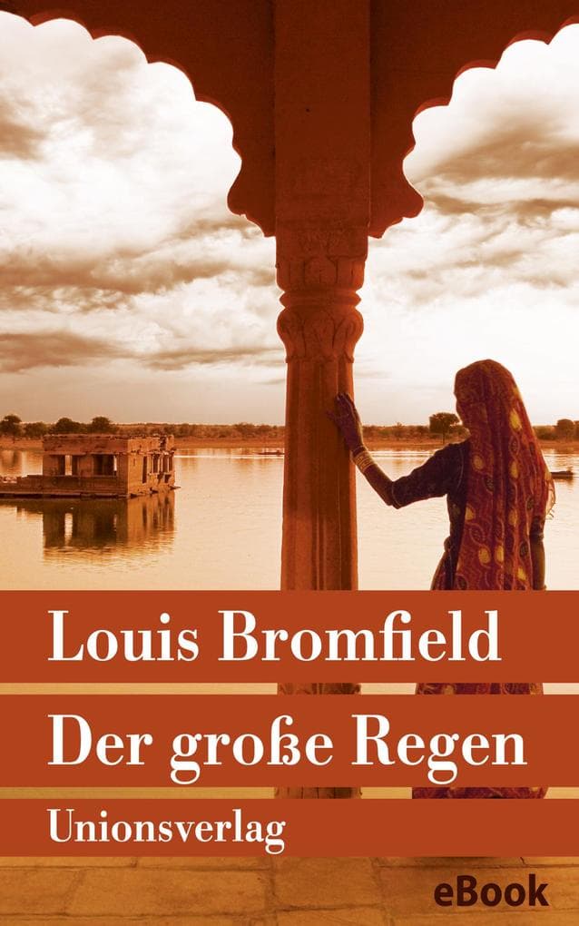 Der große Regen: Roman