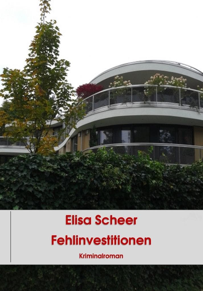 Fehlinvestitionen: Kriminalroman