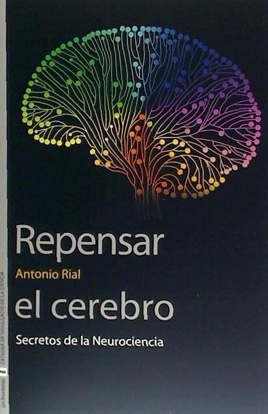 Repensar el cerebro : secretos de la neurociencia