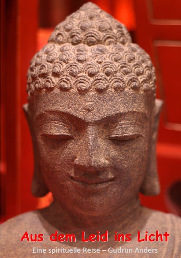 Aus dem Leid ins Licht: Eine einfühlsame Erzählung für spirituell Suchende.