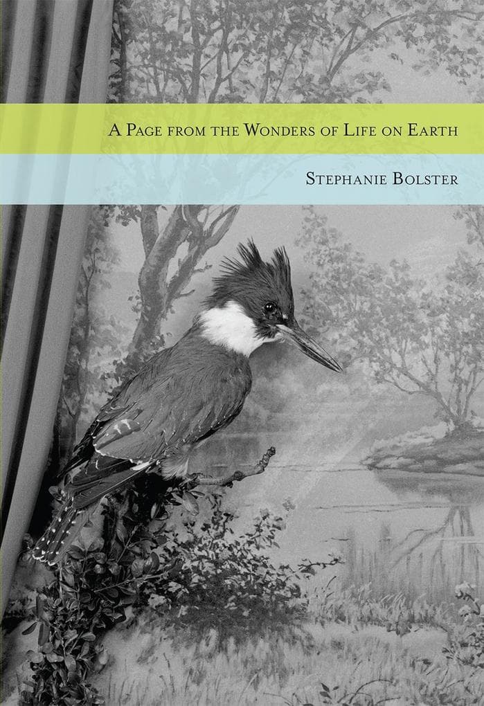 Page from the Wonders of Life on Earth