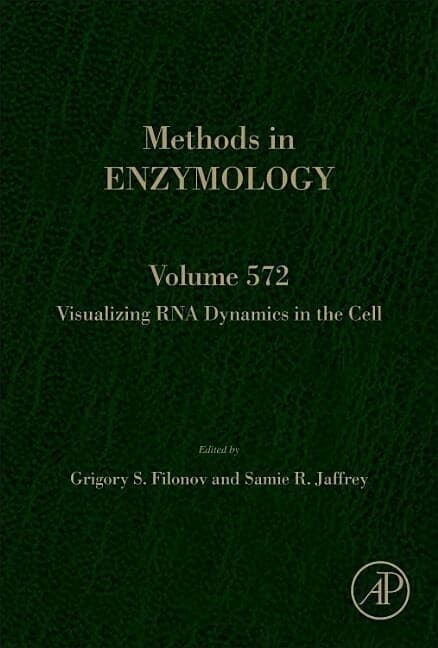 Visualizing RNA Dynamics in the Cell