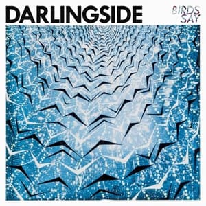 Birds Say (LP)