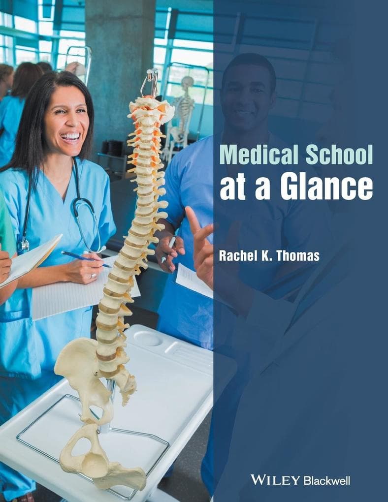 Medical School at a Glance