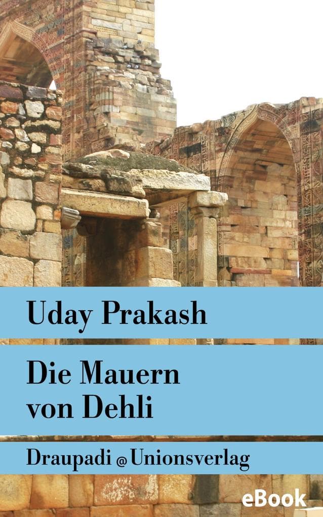 Die Mauern von Delhi: Erzählungen