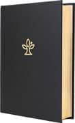 Die Bibel. Leder, Großdruck. Mit Familienchronik.