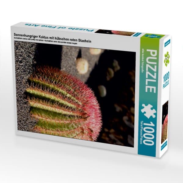 CALVENDO Puzzle Sonnenhungriger Kaktus mit hübschen roten Stacheln | 1000 Teile Lege-Größe 64x48cm Foto-Puzzle für glückliche Stunden