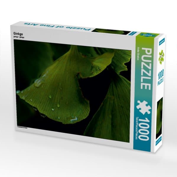 Ginkgo (Puzzle)