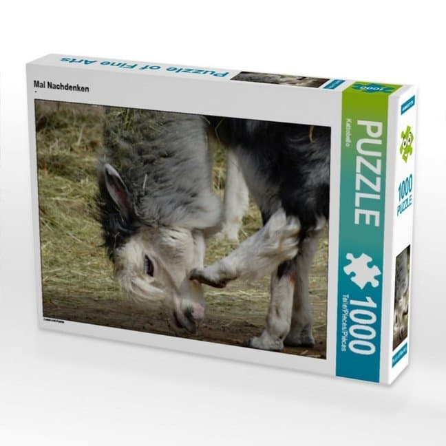 CALVENDO Puzzle Mal Nachdenken 1000 Teile Lege-Größe 64 x 48 cm Foto-Puzzle Bild von Kattobello