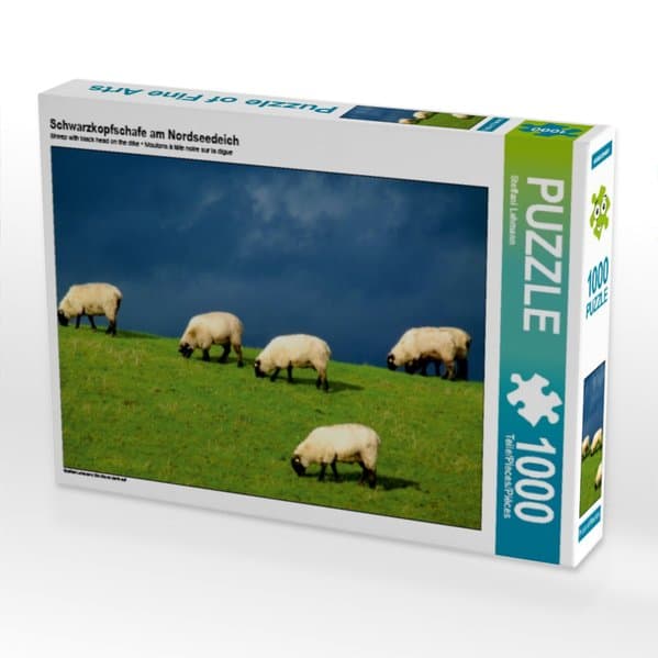 Schwarzkopfschafe am Nordseedeich (Puzzle)