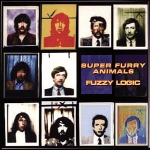 Fuzzy Logic (20th Anniversary Deluxe Edition)