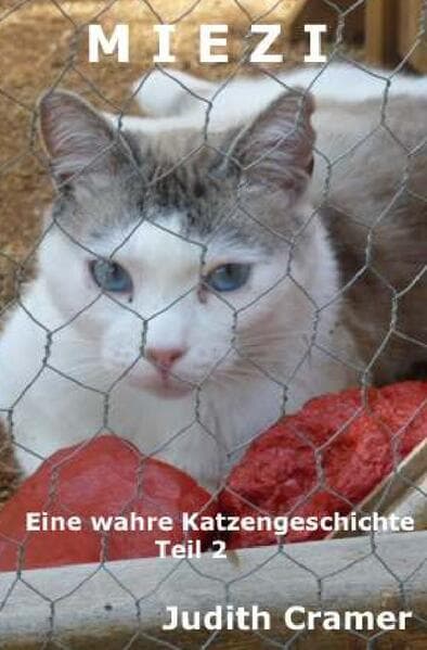 Miezi - Eine wahre Katzengeschichte: Teil 2: Bitte bleib bei mir