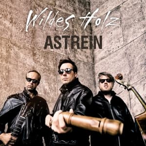 Astrein (2LP)