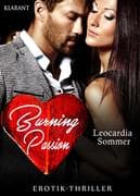 Burning Passion. Erotik-Thriller