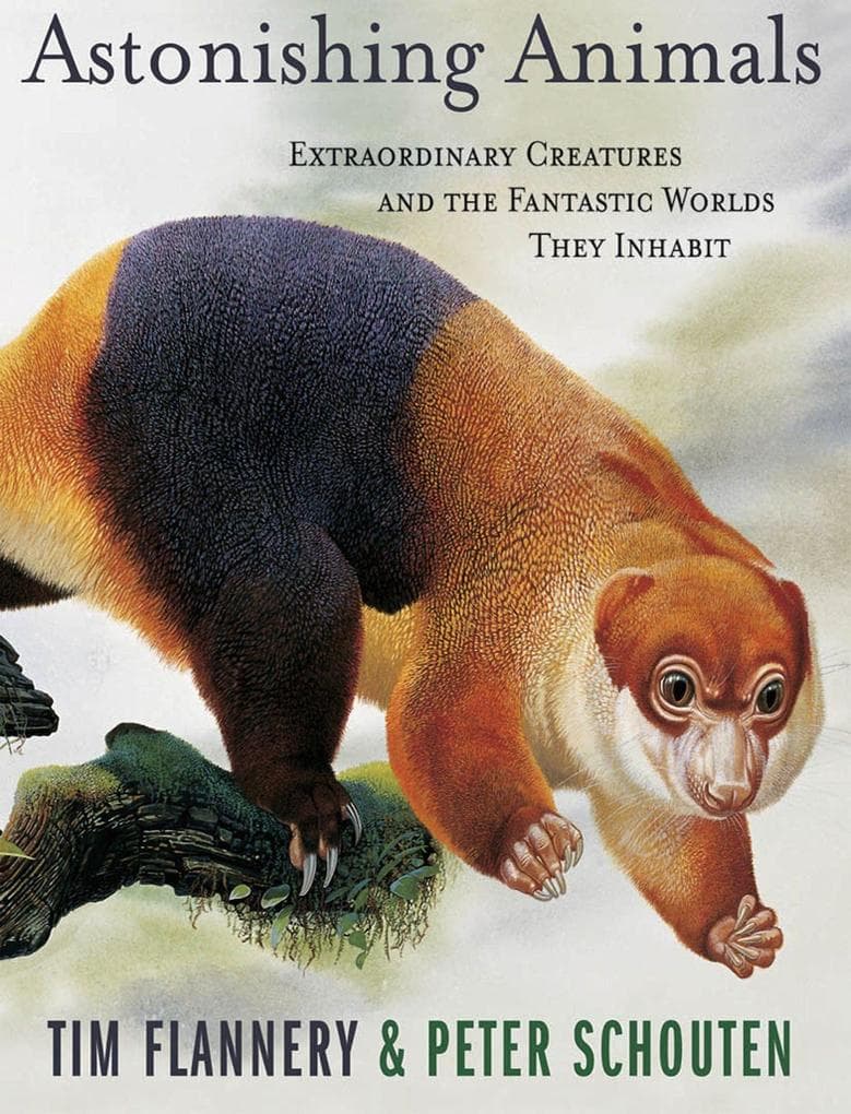 Astonishing Animals