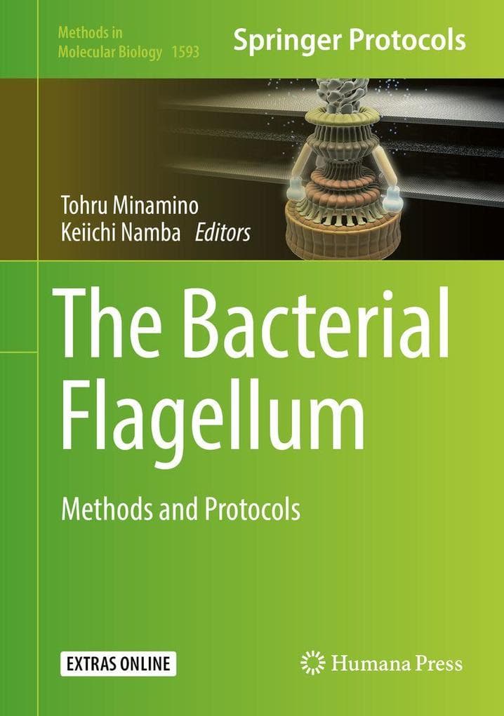 The Bacterial Flagellum