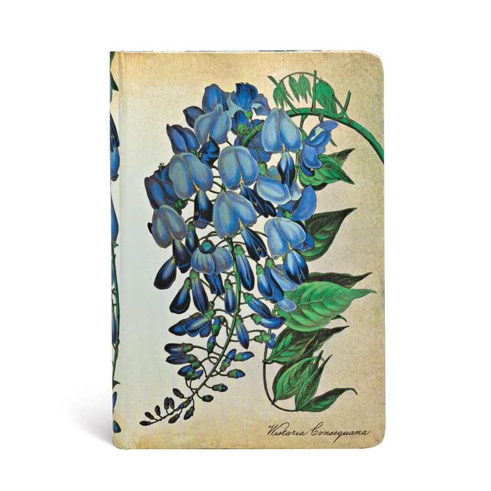 Notizbuch Paperblanks Blühende Glyzinie Botanikmalerei Mini