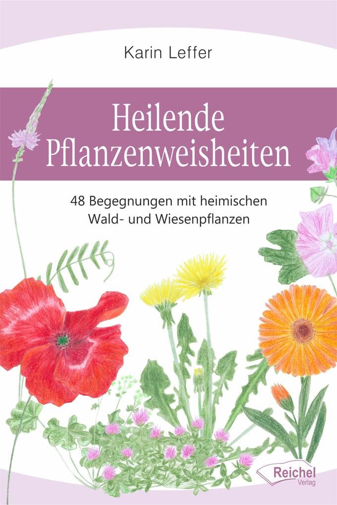Heilende Pflanzenweisheiten: 48 Begegnungen mit heimischen Wald- und Wiesenpflanzen