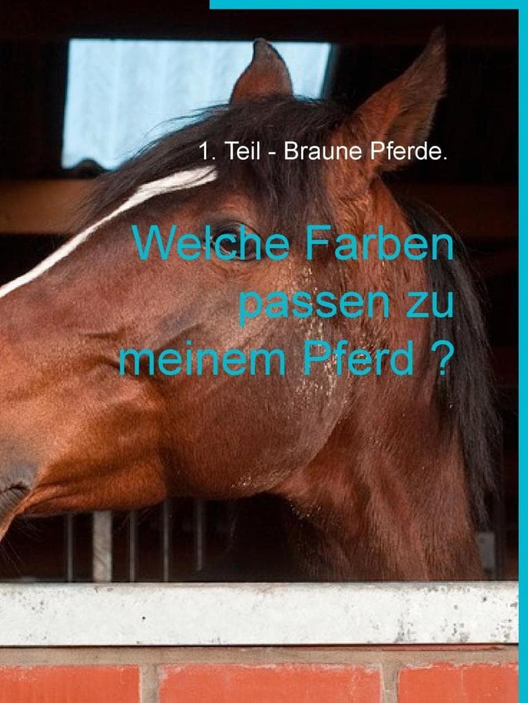 Welche Farben passen zu meinem Pferd ?