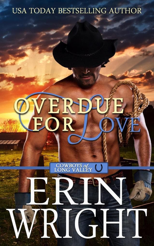 Overdue for Love: A Secret Baby Western Romance (Cowboys of Long Valley Romance, #6)