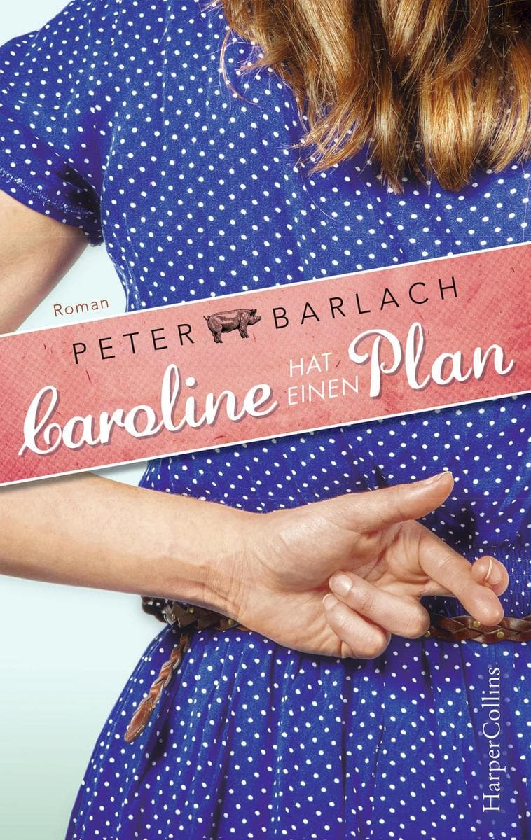 Caroline hat einen Plan: Roman