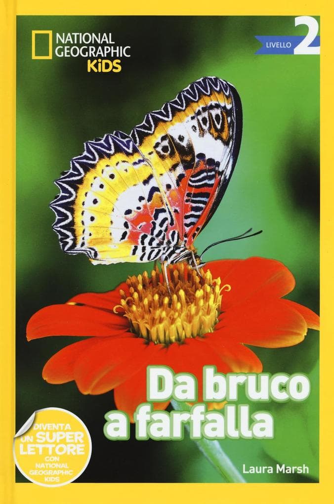Da bruco a farfalla. Livello 2